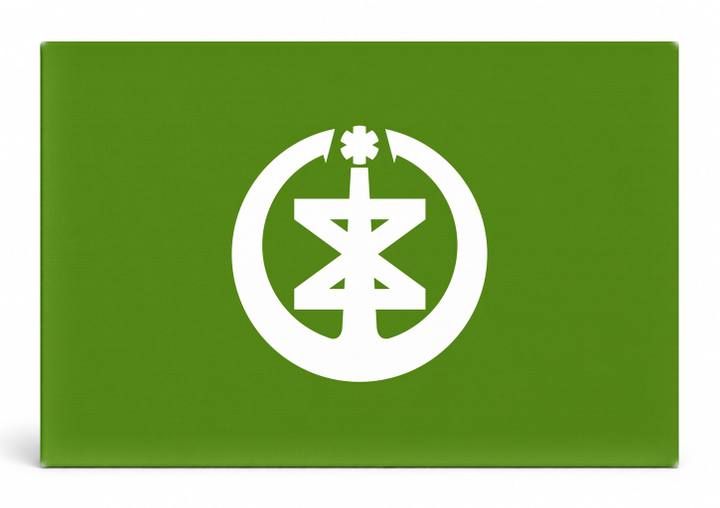 Niigata City Flag