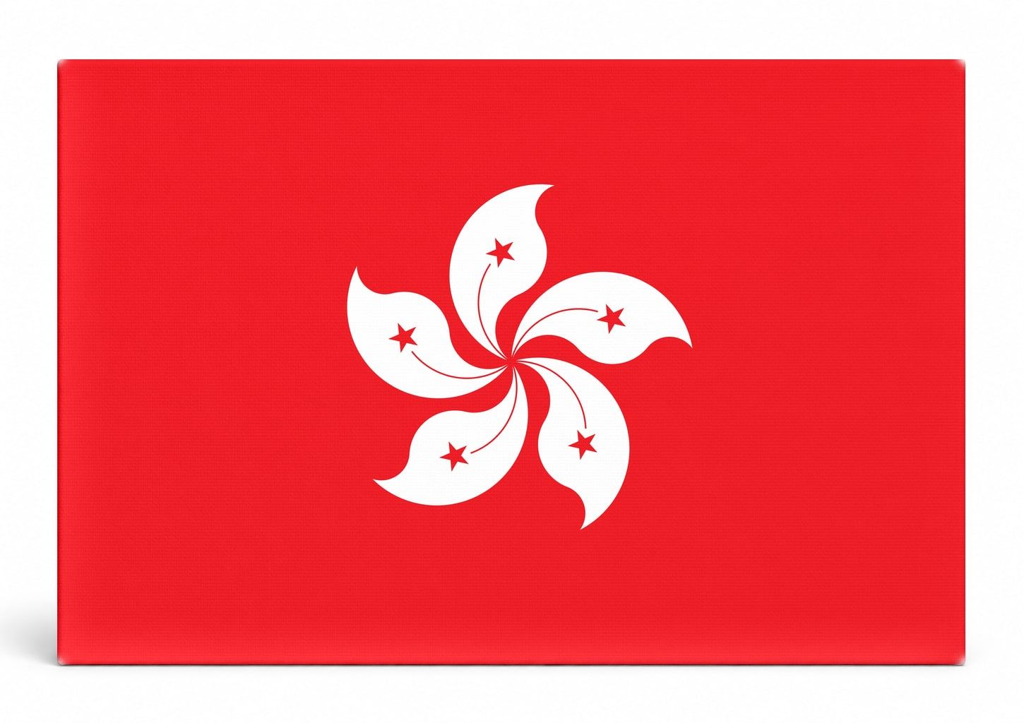 Hong Kong City Flag