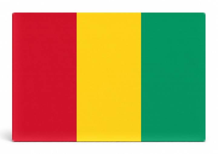 Guinea Flag
