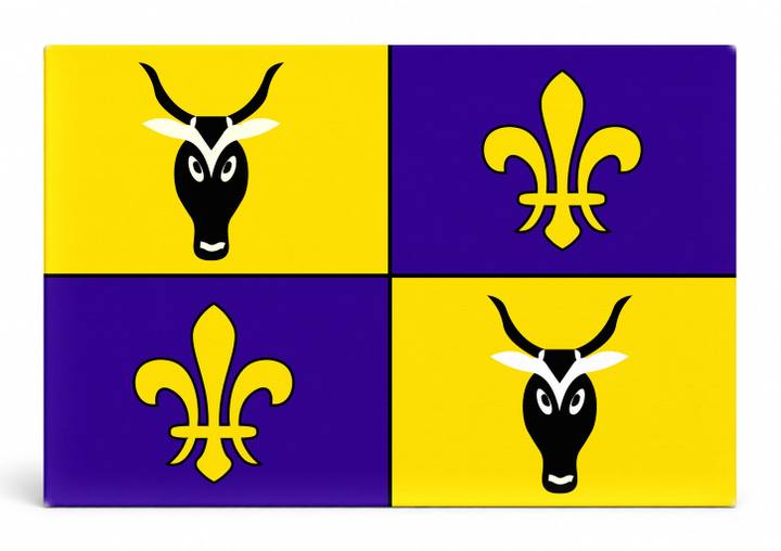 Antananarivo City Flag