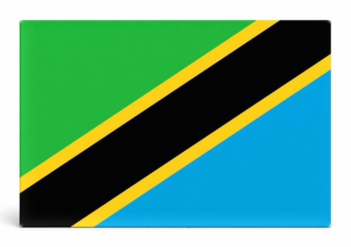 Tanzania Flag
