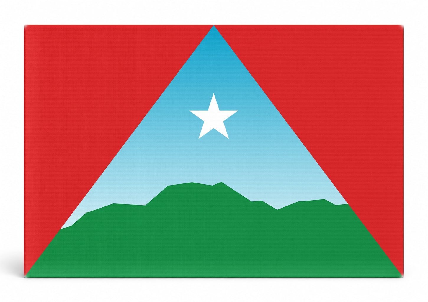Caracas City Flag
