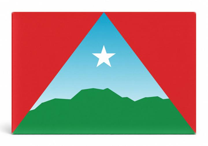 Caracas City Flag
