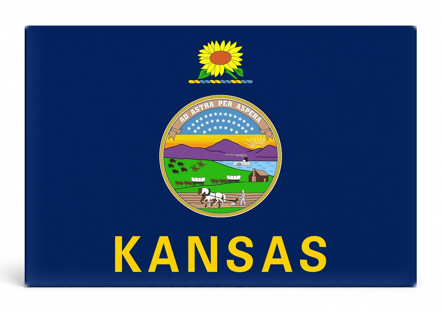 Kansas State Flag