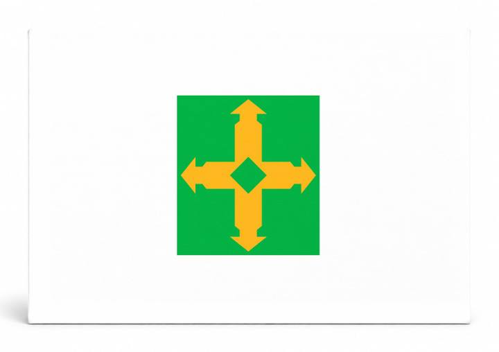 Brasília City Flag