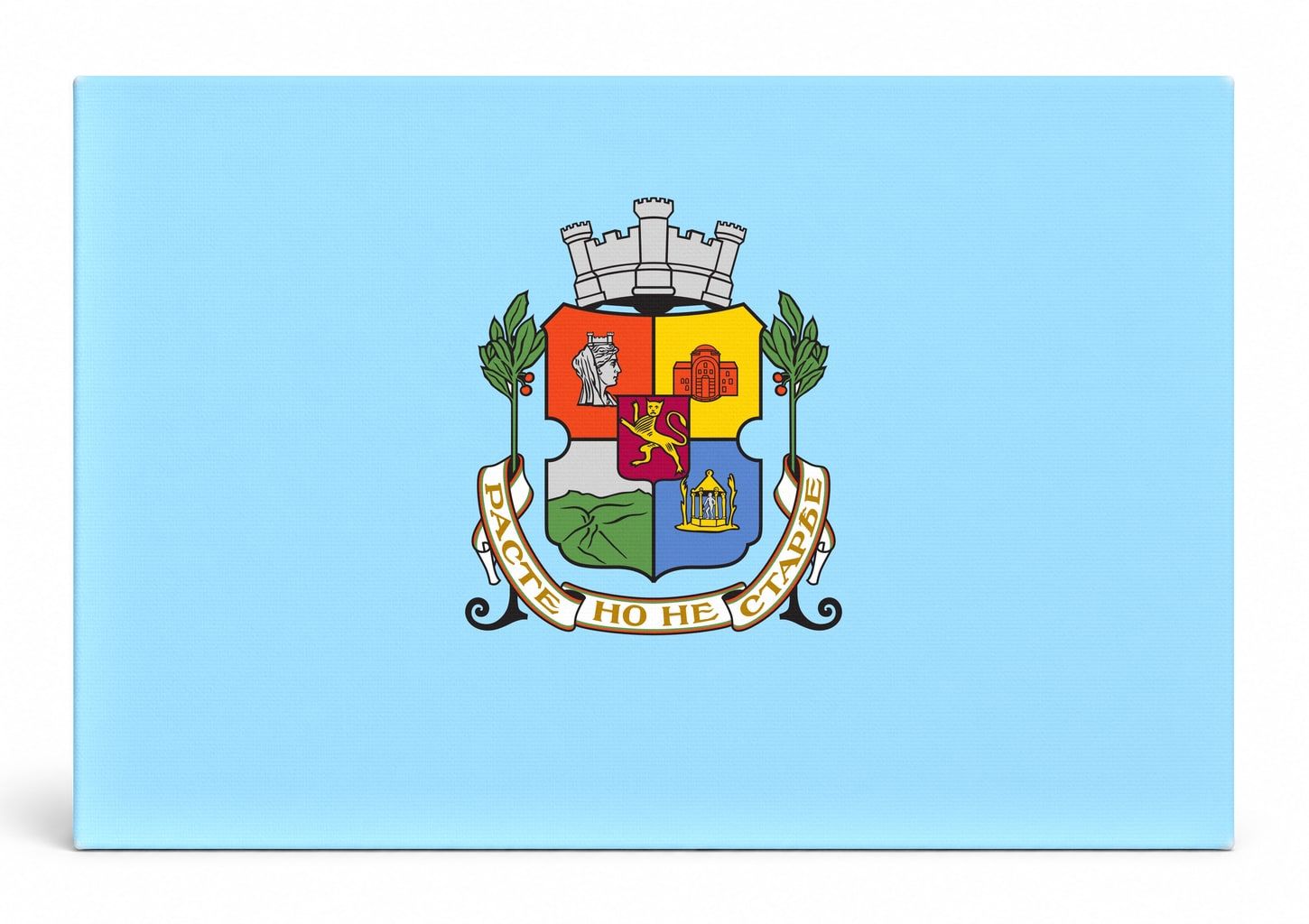 Sofia City Flag