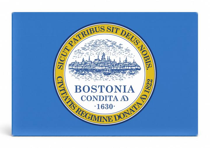 Boston City Flag