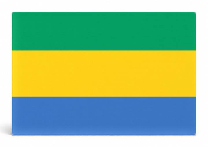 Gabon Flag