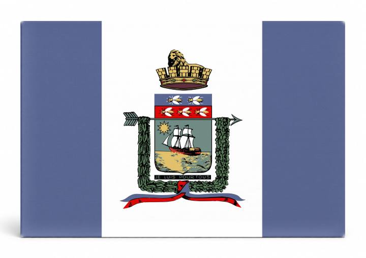 Port-au-Prince City Flag