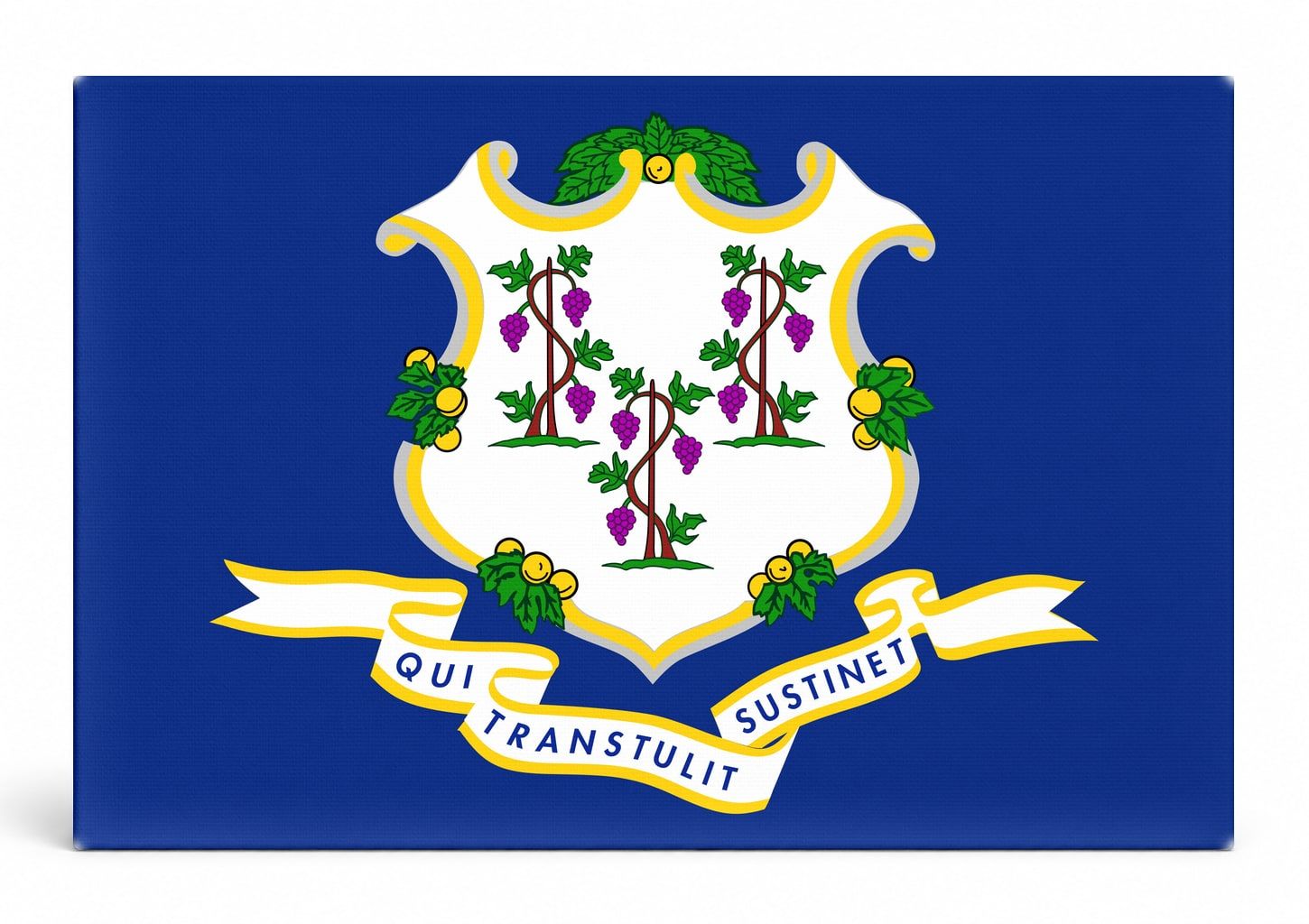 Connecticut State Flag