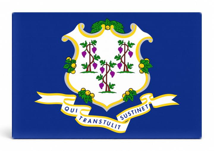 Connecticut State Flag