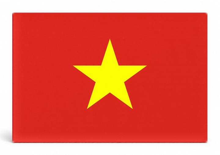 Vietnam Flag