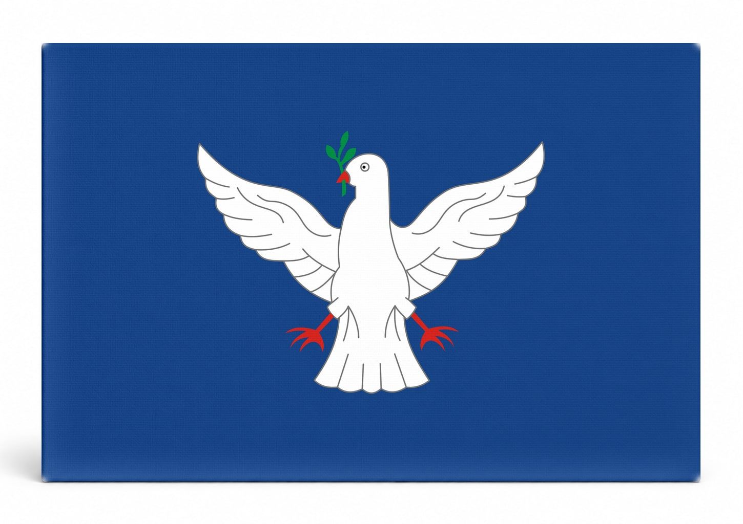 Salvador City Flag