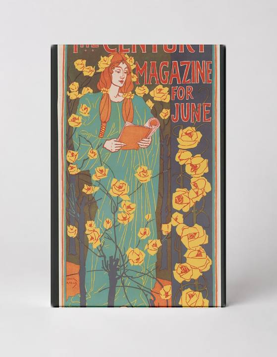 The Century Magazine for June 1894 - Art Nouveau Vintage Poster Wall Art