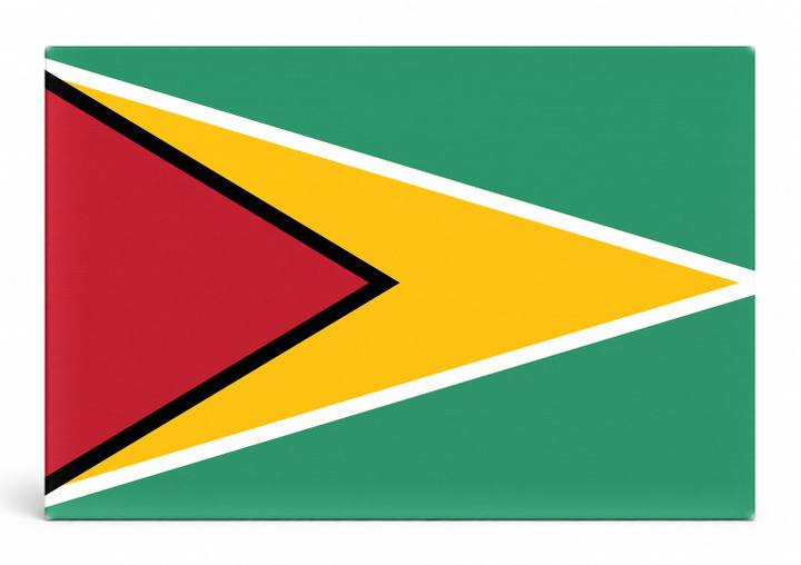 Guyana Flag