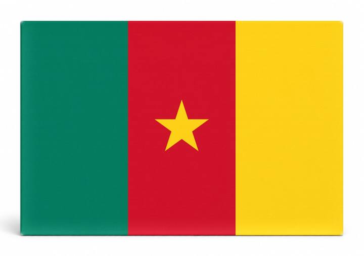 Cameroon Flag