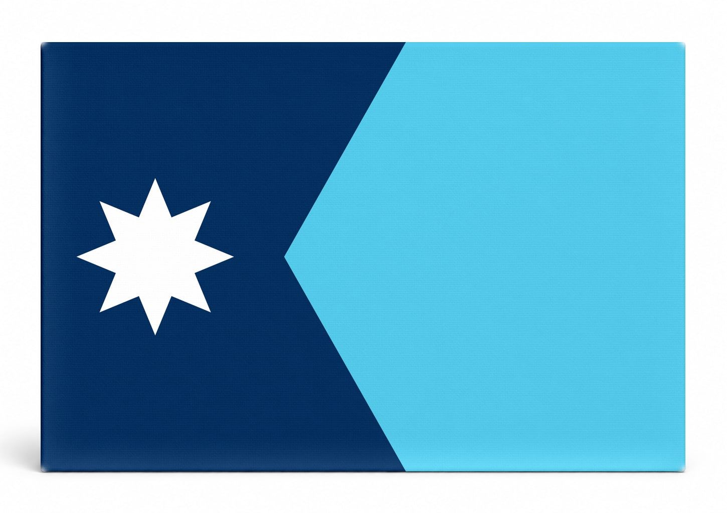 Minnesota State Flag