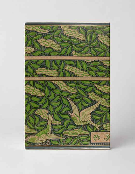 Birds and Foliage Art Nouveau Lithograph - Vintage Nature Poster Wall Art