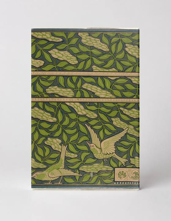 Birds in Foliage Art Nouveau - Vintage Botanical Lithograph Canvas Wall Art