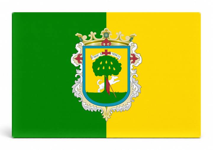 Zapopan City Flag
