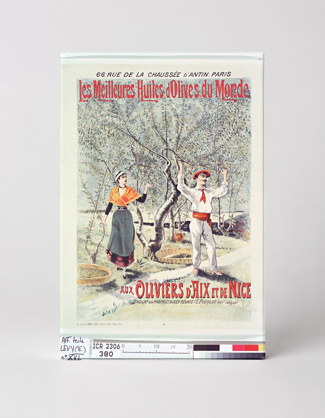 Les Meilleures Huiles d'Olives du Monde 1890s - Belle Époque Vintage Poster Wall Art