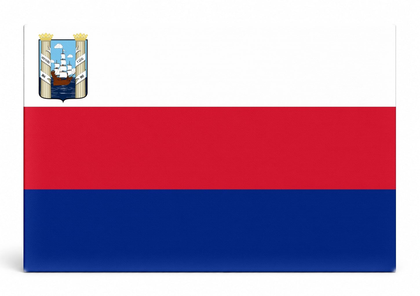 Maracaibo City Flag