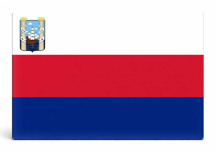 Maracaibo City Flag