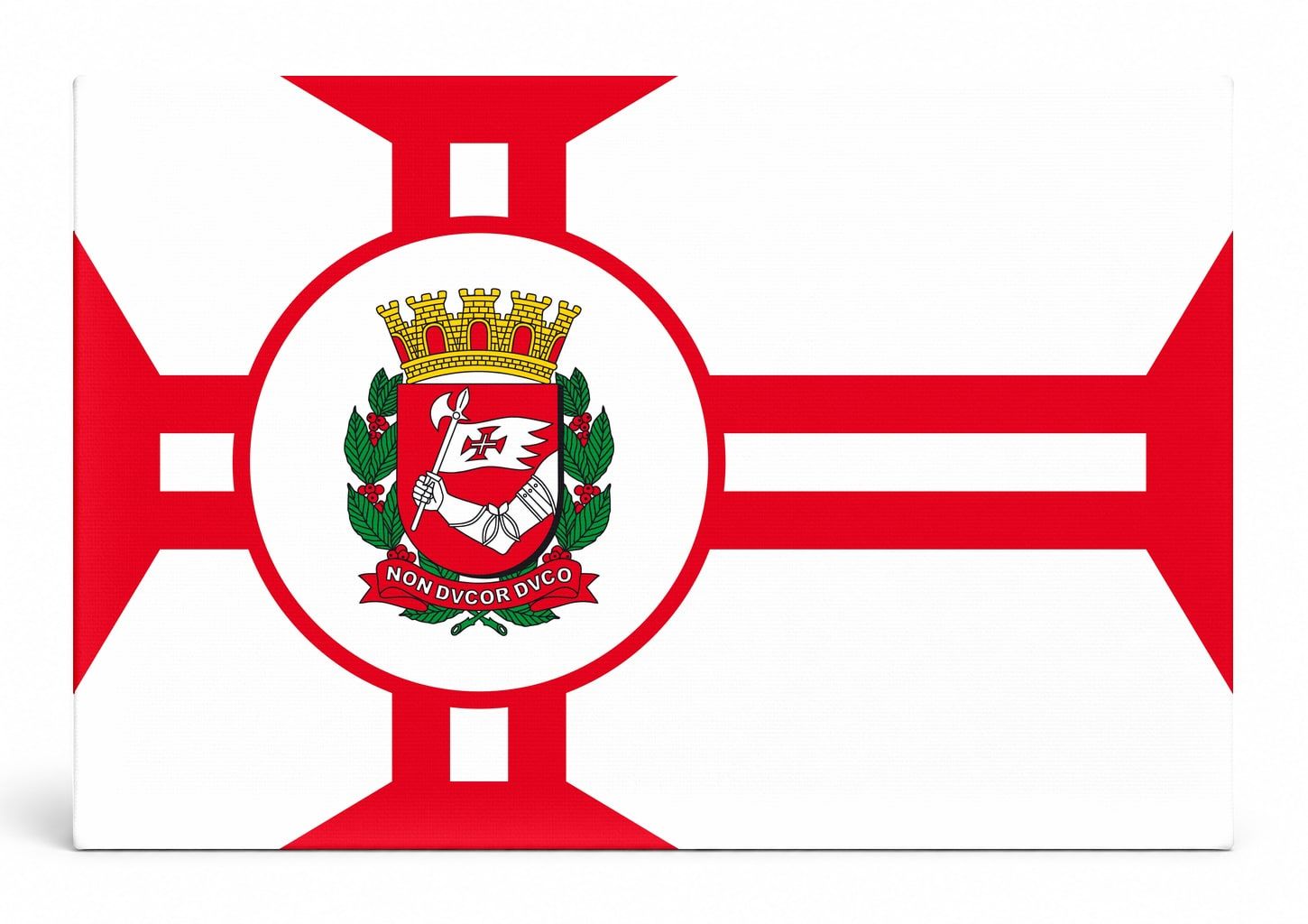 São Paulo City Flag
