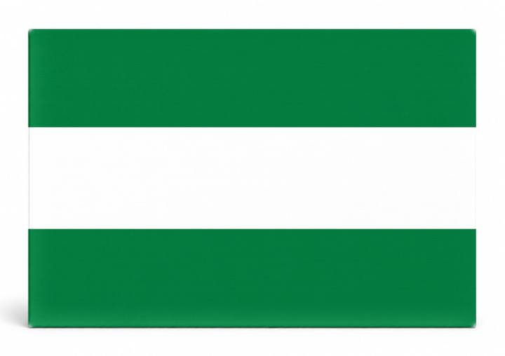 Santa Cruz de la Sierra City Flag