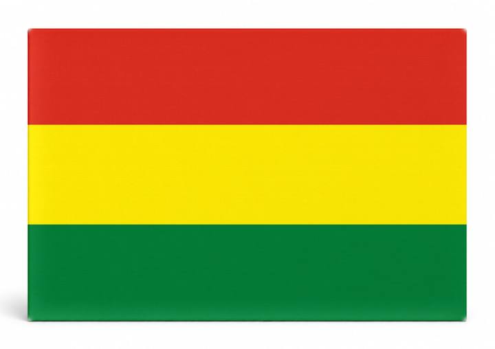 Bolivia Flag