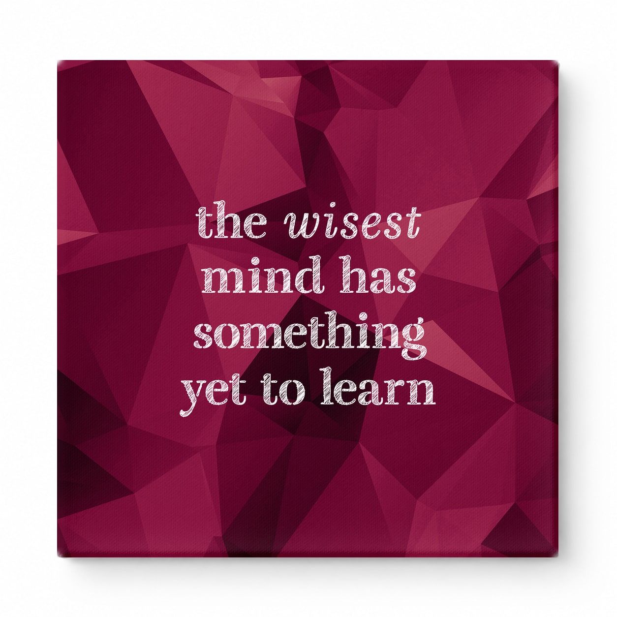 The Wisest Mind Has Something Yet to Learn — Geometric Polygon Facets