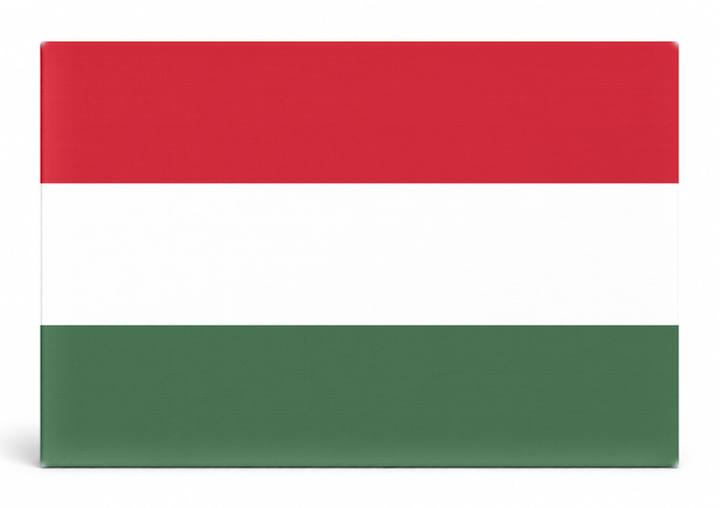 Hungary Flag