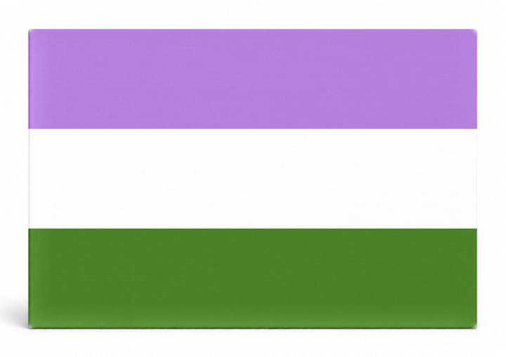 Genderqueer Pride Flag