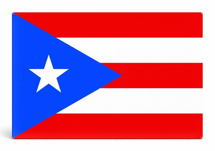 Puerto Rico Flag
