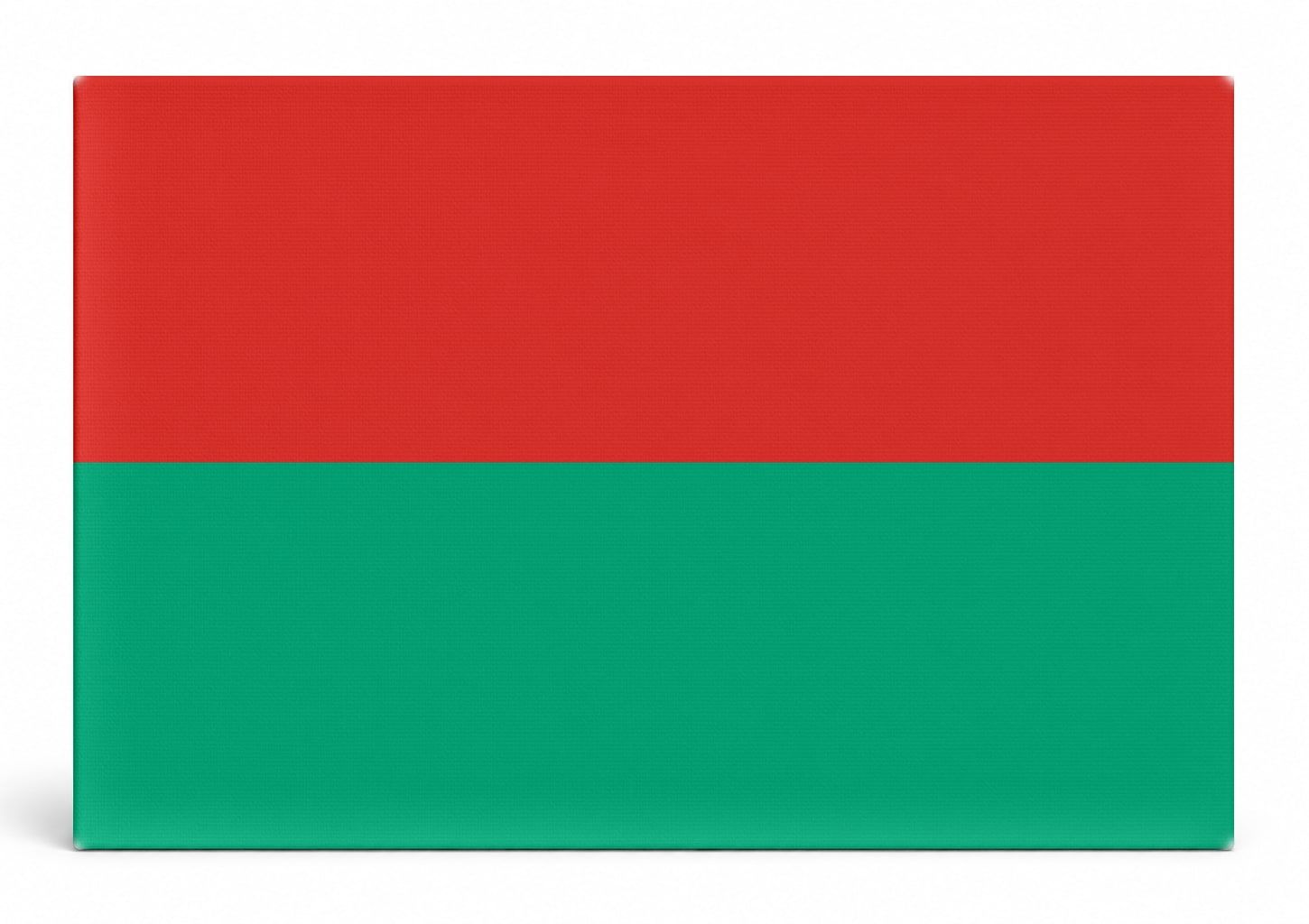 La Paz City Flag
