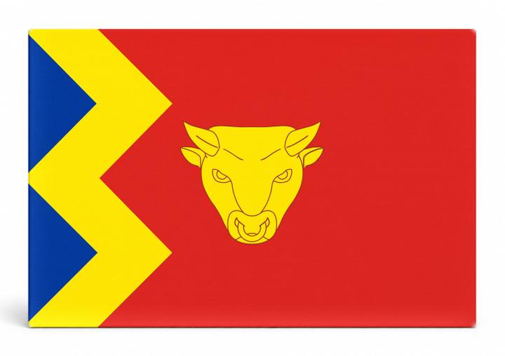 Birmingham City Flag