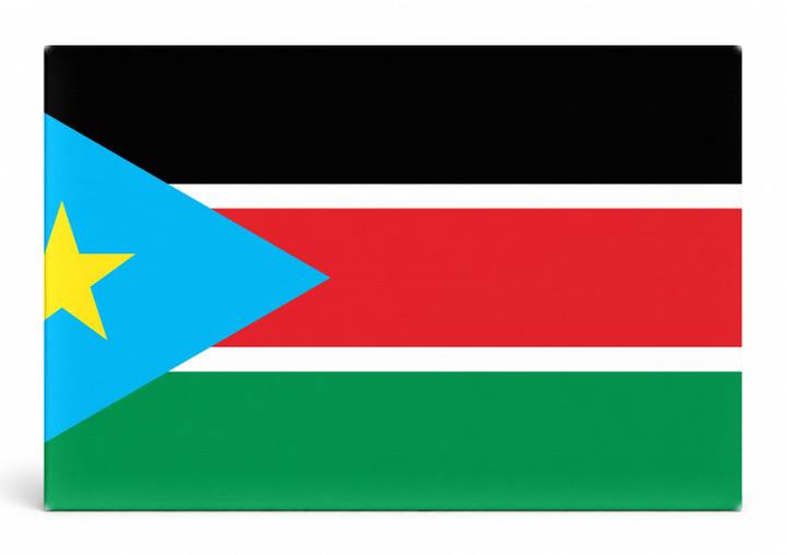 South Sudan Flag