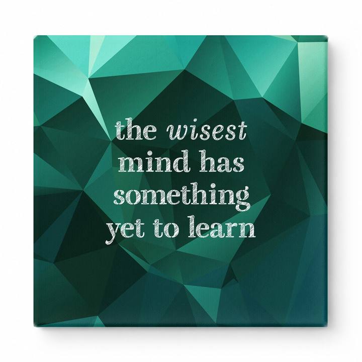 The Wisest Mind Has Something Yet to Learn — Geometric Polygon Facets