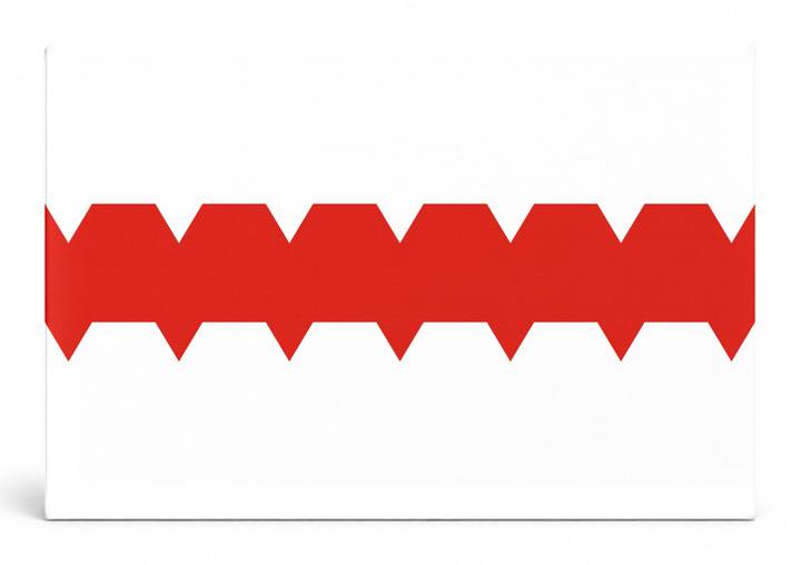 Omsk City Flag