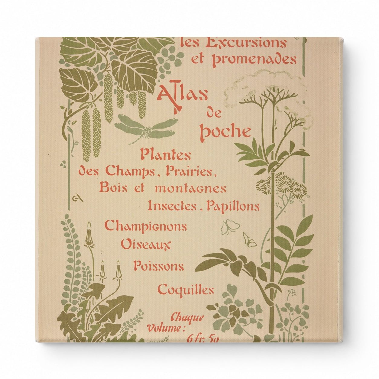 Atlas de Poche 1900 - Art Nouveau French Nature Pocket Guide Vintage Poster Wall Art