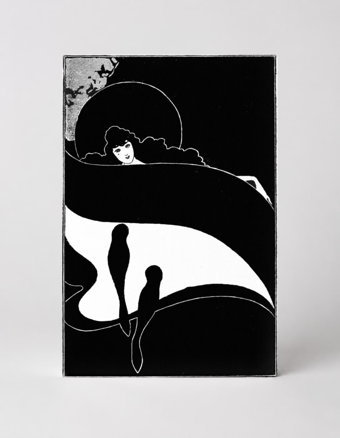 Woman with Flowing Cape and Birds 1890s - Art Nouveau Vintage Poster Wall Art