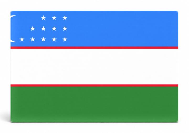 Uzbekistan Flag