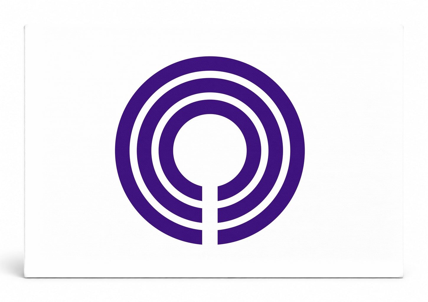 Kawasaki City Flag