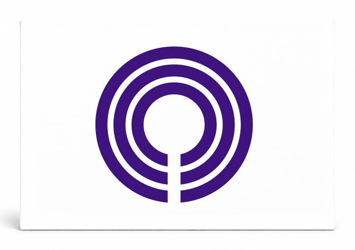 Kawasaki City Flag