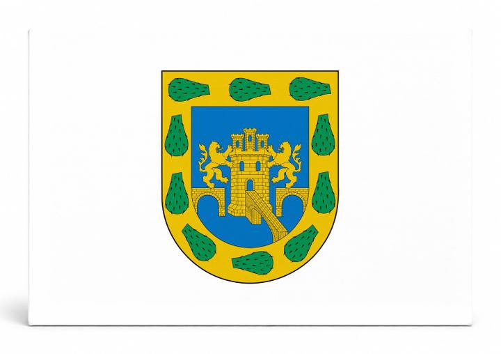 Mexico City Flag
