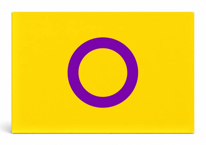 Intersex Pride Flag
