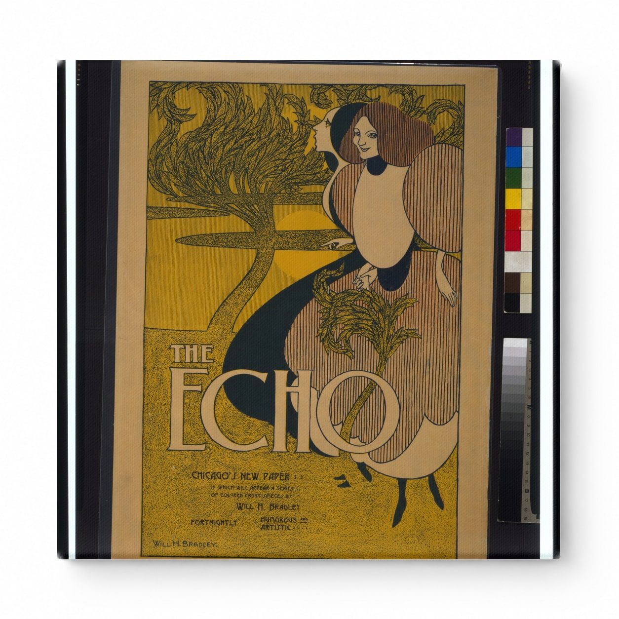 The Echo Chicago's New Paper 1895 - Art Nouveau Vintage Poster Wall Art