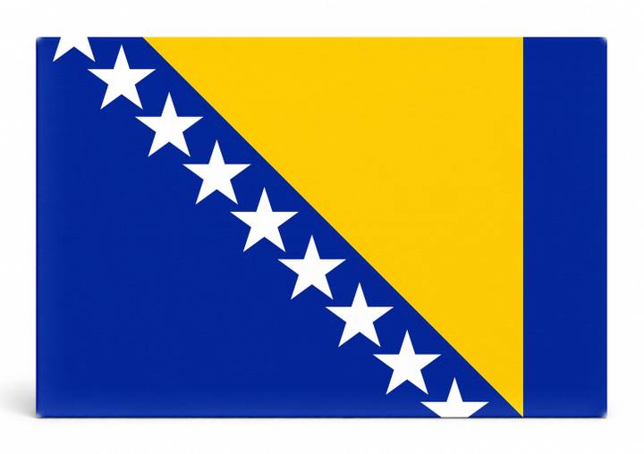 Bosnia and Herzegovina Flag