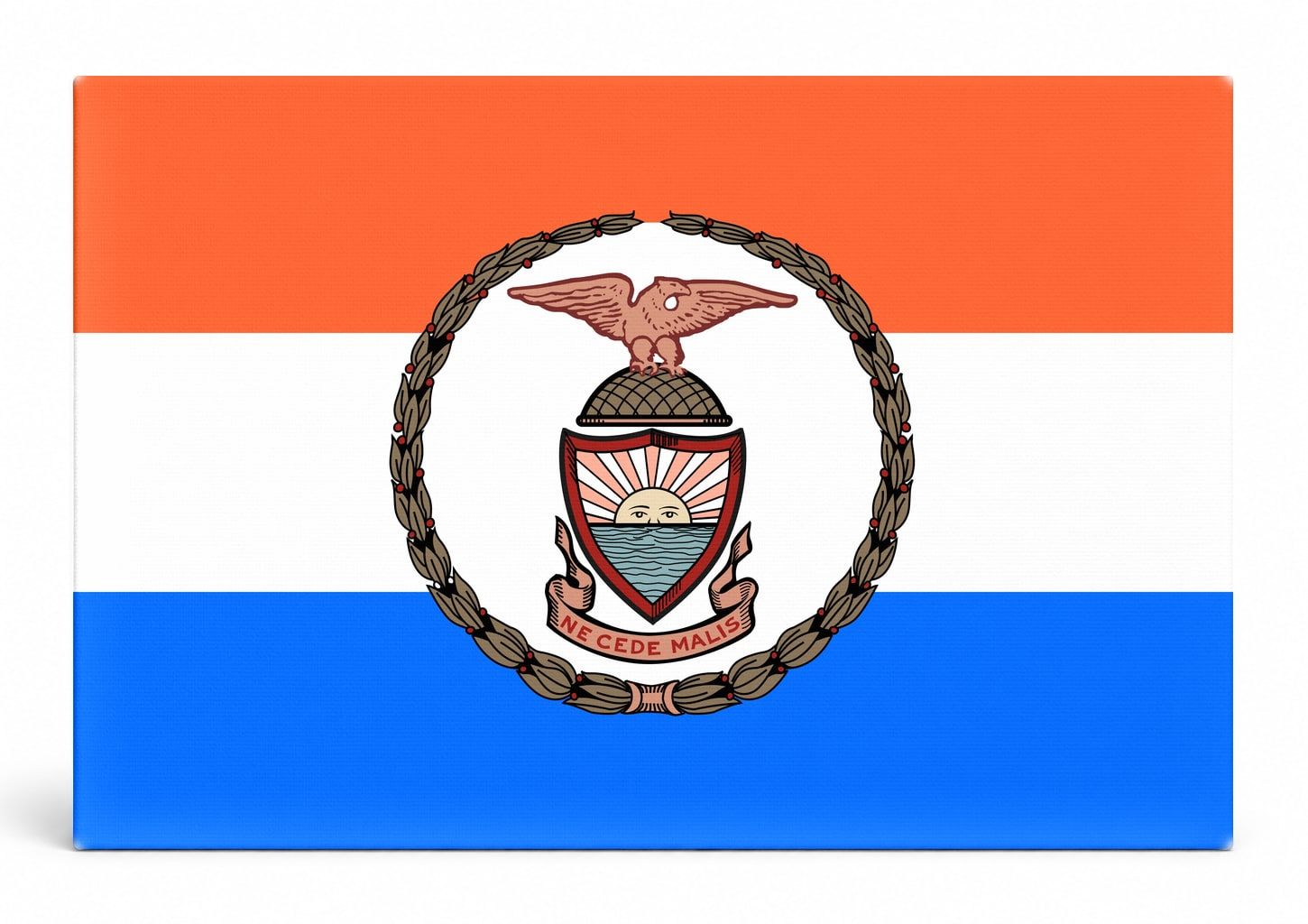 The Bronx City Flag