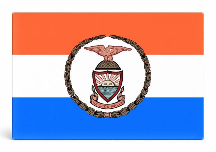 The Bronx City Flag